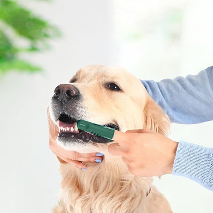 Luxshiny Dog Toothbrush Kit with Finger Toothbrush and Dual-Head Brush, Soft Bristles Pet Dental Care Set for Puppies and Dogs, Effective Teeth Cleaning Tool for Oral Hygiene