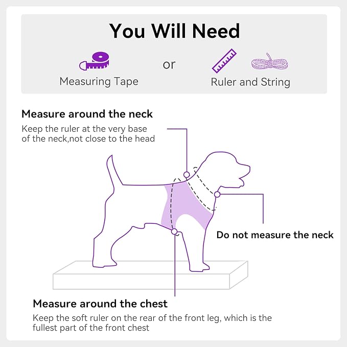 Joytale Step-in Dog Harness, Soft Breathable Mesh, Purple M | Adjustable Fit for Small Dogs, Easy Step-in with Secure Fastener, Even Chest Pressure, Reflective For Night Safety, Washable