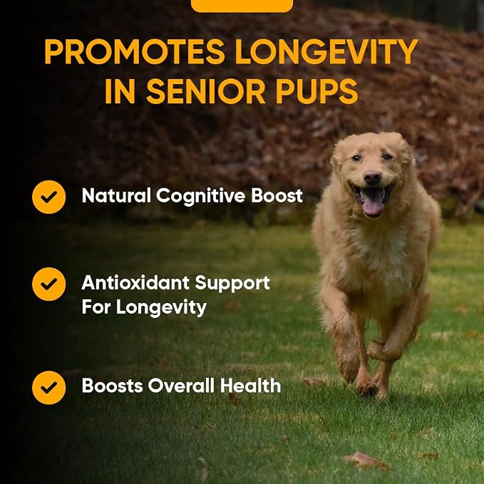 iHeartDogs Senior Super 7 Dog Multivitamin with Probiotics, 60 Chews | Anti-Aging with Antioxidants, Probiotics, Lion's Mane, Turkey Tail, Ashwagandha, Supports Longevity & Cognitive Boost
