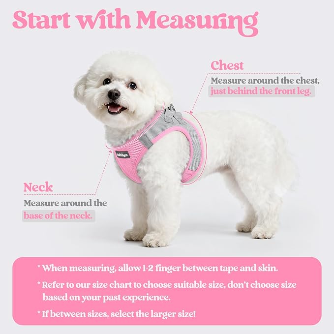 rabbitgoo Dog Harness Medium Sized and Leash Set, Step-in Puppy Pet Vest | Light, Soft, Breathable Air Mesh, Easy on and Remove with Hook & Loop, Secure Reflective for Walking, Light Pink & Gray L
