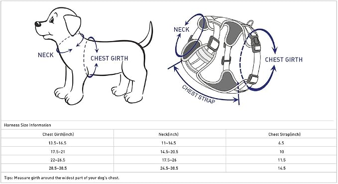 Blueberry Pet Soft & Comfy 3M Reflective Dog Harness Vest | Mesh Padded No Pull Dog Harness w/Back Clips | Multi-Colored Stripe - Orange and Black | Reflective Dog Harness for Large Dogs