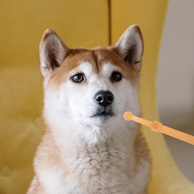 POPETPOP 1 Set Pet Toothbrush Puppy Toothbrushes Toothbrush for Dogs Single-Head Brush Dog Tooth Brush Handheld Pets Toothbrush Single-Head Dog Toothbrush pet Supplies