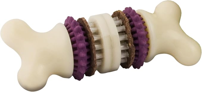 PetSafe Busy Buddy Bristle Bone Dog Treat Holding Chew Toy, Small | Toothbrush-In-A-Toy Design Helps Clean Teeth While Dog Chews, Holds Treat Rings, Durable, Interactive Play, for Dogs 10-25 Lb