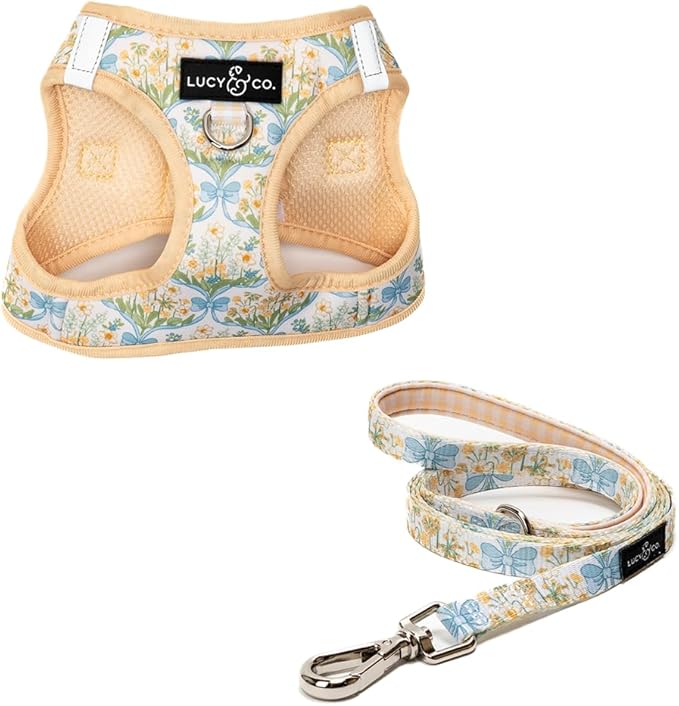 Lucy & Co. Sunshine and Daffodils Step-in Cat Harness and Leash Set Bundle, Escape Resistant Comfort Fit, Medium