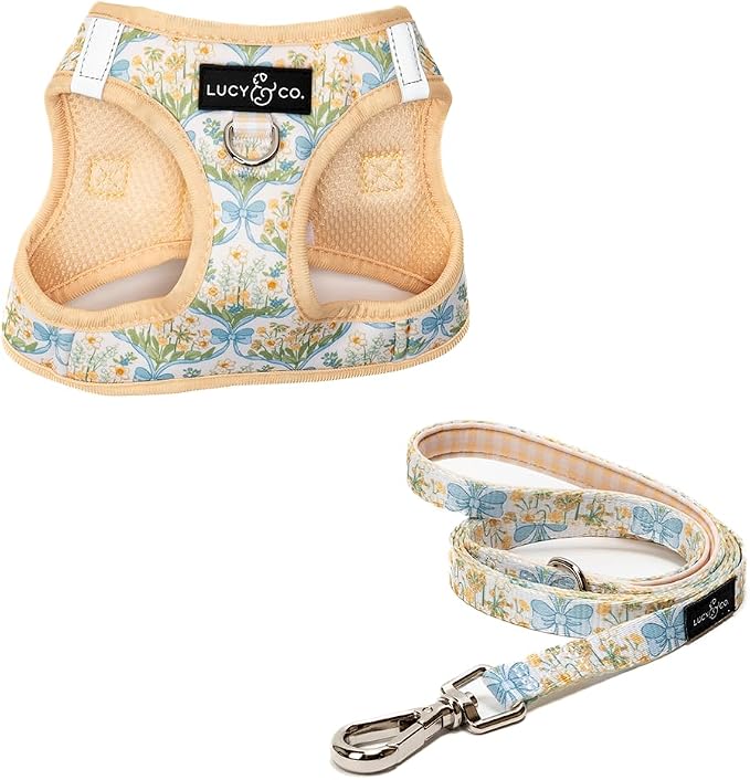 Lucy & Co. Sunshine and Daffodils Step-in Cat Harness and Leash Set Bundle, Reflective, Breathable & Adjustable Harness for Cats, Kittens & Small Dogs, Lightweight & Secure - X-Small
