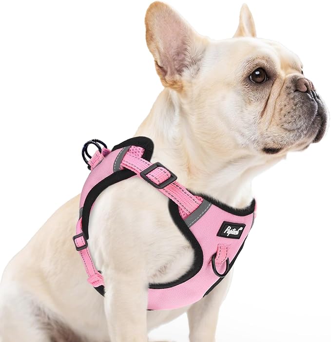 PUPTECK Dog Harness Small Sized Dog, Step in Adjustable Reflective Dog Vest Harness Escape Proof, No Pull Soft Padded Harness Easy Control, Pink, M