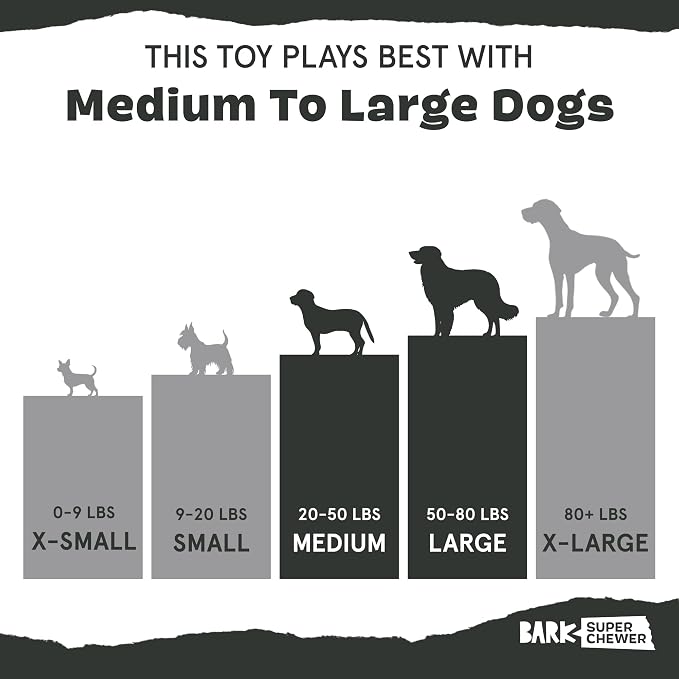 BarkBox Throwbar Super Chewer - Toy for Medium to Large Dogs | Durable Dog Toy for Aggressive Chewers - Fetch Chew
