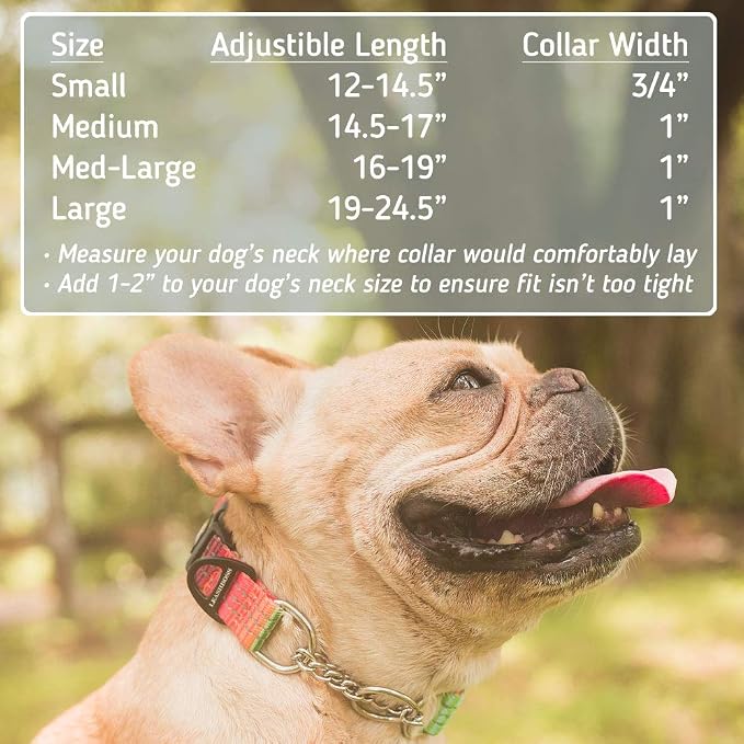 Leash Boss Chain Martingale Patterned Reflective Collar and 6 Ft Double Handle Leash with Padded Handles, Large Collar 19-24.5" Neck, Orange Blanket Pattern