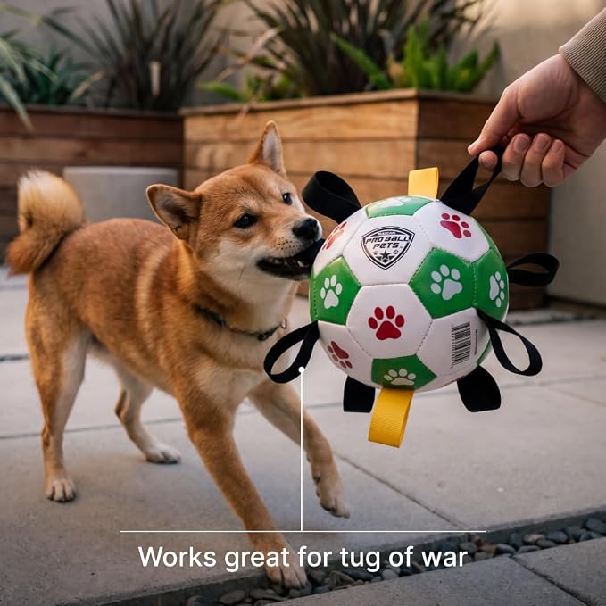 Maccabi Interactive Dog Soccer Ball for Dogs, 6” with Straps & Grab Tabs, Floats on Water, Fetch & Training Toy for Small/Medium Dogs, Herding Breeds, Waterproof Non-Toxic – ProBall Pets – Green Red