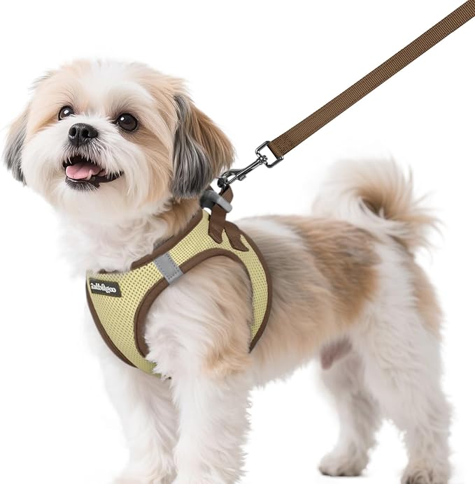 rabbitgoo Dog Harness Small Sized and Leash Set, Step in Soft Vest | Breathable Mesh, Easy Wear with Hook & Loop, Light and Reflective for Walking, Multi-colored, Beige & Coffee, S