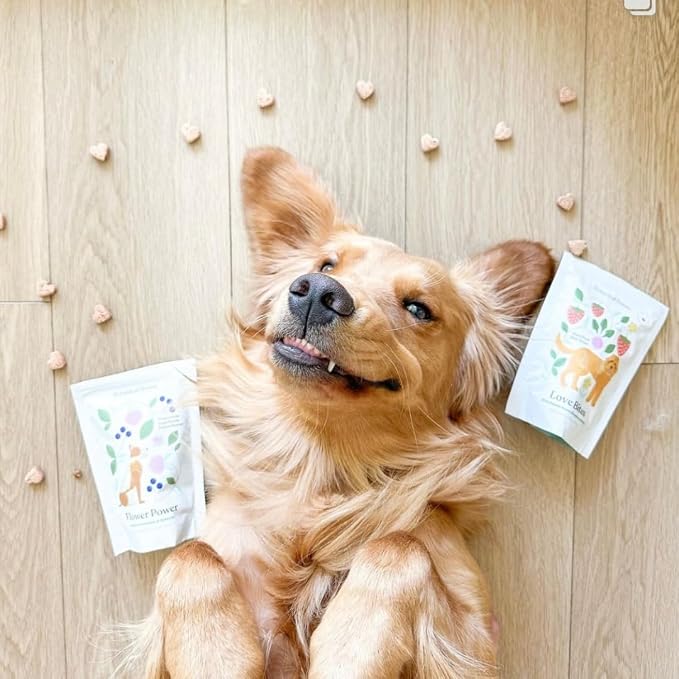Love Bites Healthy Natural Dog Treats, Oven Baked Dog Cookies with Peanut Butter, Strawberry & Beet, Grain Free Limited Ingredient Snacks for Dogs, 2 Pack