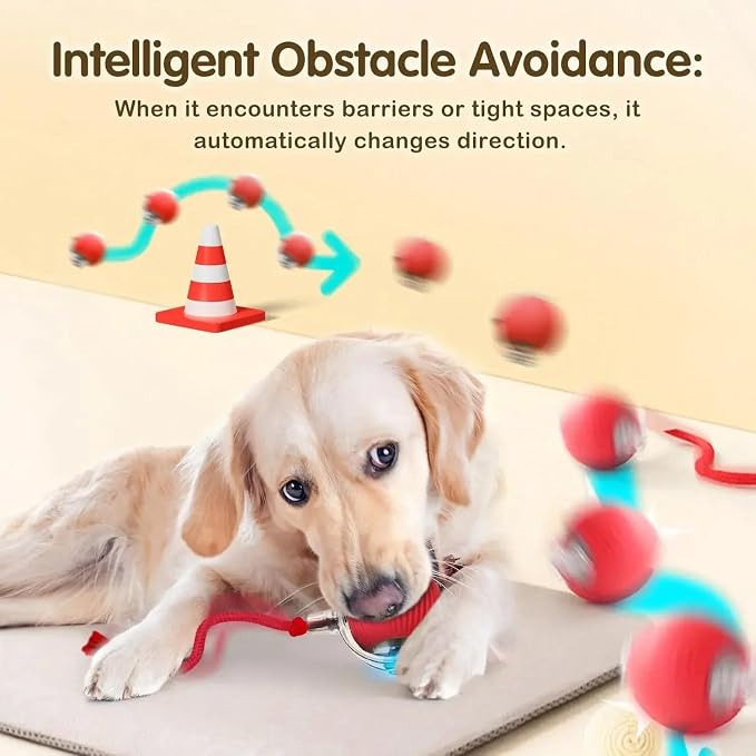 Automatic Ball for Small Dogs & Cats - Activated Moving Toy, Rechargeable, Self Play, Ball Toy with Long Tail Teaser