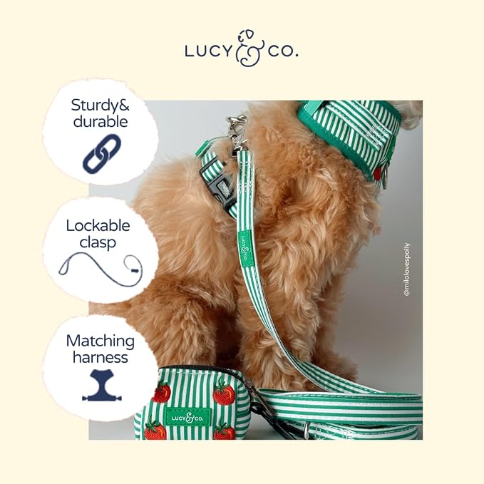 Lucy & Co. Tomato, Tomahto Dog Leash, Durable Matching Dog Lead with Heavy Duty Hardware, Large