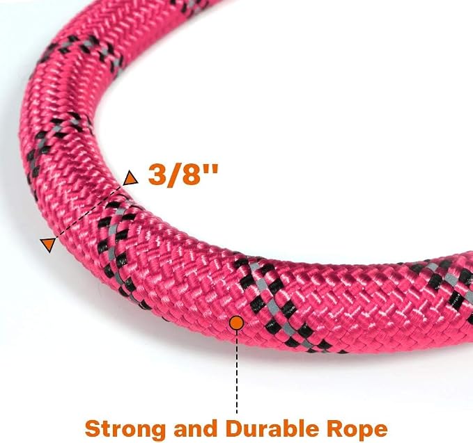 Taglory Rope Dog Leash for Small Medium Dogs, 5 FT Padded Handle, Pink | Made of Climbing Rope, Reflective for Night Walks and Training, Comfortable Grip, Anti-tangle Swivel Clip, 3/8 inch