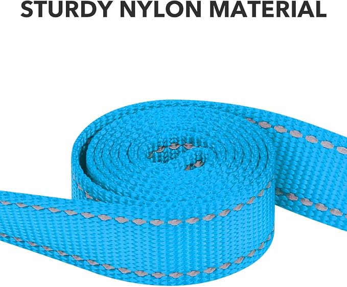 Taglory Reflective Dog Leash for Small Dogs, 3/4in x 5ft, Sky Blue | Ideal for Night Walking, Strong for Sudden Pulls, Lightweight & Gentle on the Neck, Soft Padded Handle