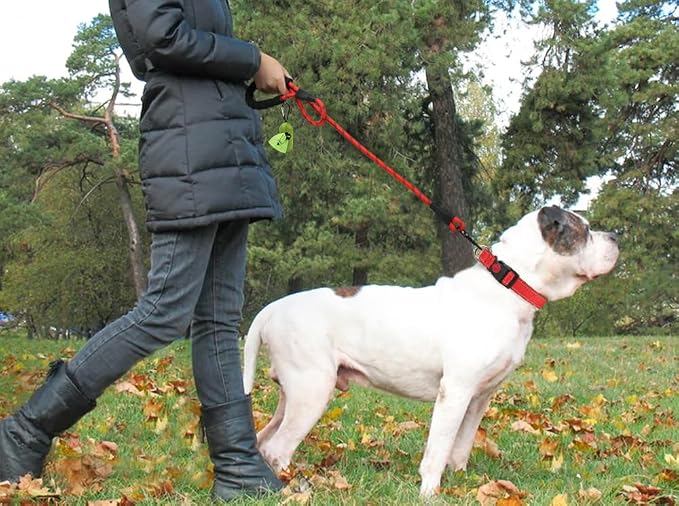 Taglory 18"-28" Length, 1 1/4" Wide Dog Collar and Leash Set, 1/2" x 6 FT Highly Reflective Threads Dog Leash for Large Dogs,Red