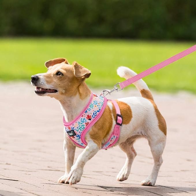 PUPTECK Soft Mesh Dog Harness and Leash Set Pet Puppy Cat Comfort Padded Vest No Pull Harnesses, Pink Floral, S