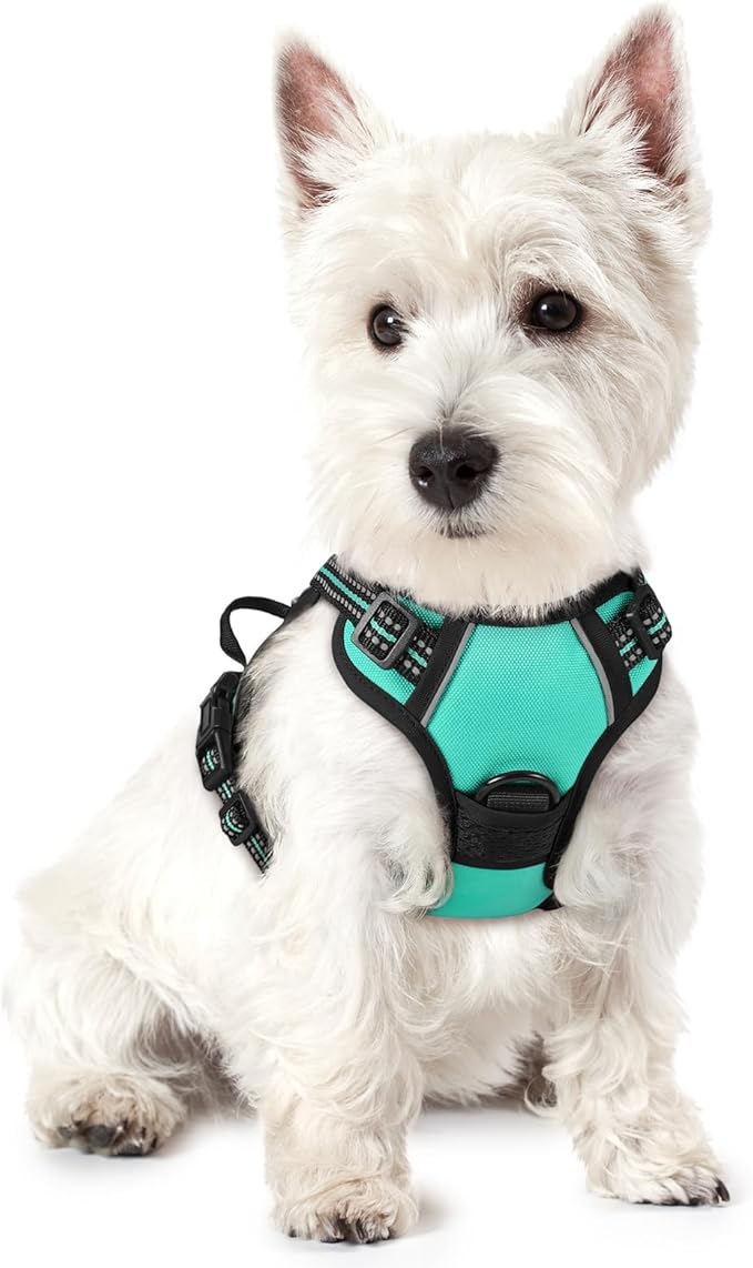 rabbitgoo Dog Harness, No Pull for Small Dogs with 2 Leash Clips, Pet Vest | No Choke with Handle, Adjustable Soft Padded, Reflective, Easy Control for Walking, Turquoise, X-Small