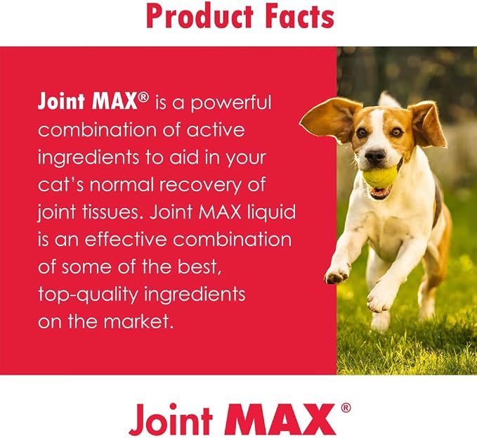 PHS Joint MAX Triple Strength (TS) Chewable Tablets for Dogs - 2-Pack - 240 Tablets