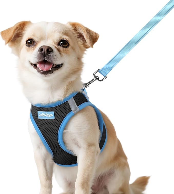 rabbitgoo Dog Harness Small Sized and Leash Set, Step in Soft Vest | Breathable Mesh, Easy Wear with Hook & Loop, Light and Reflective for Walking, Multi-colored, Black & Blue, XXS