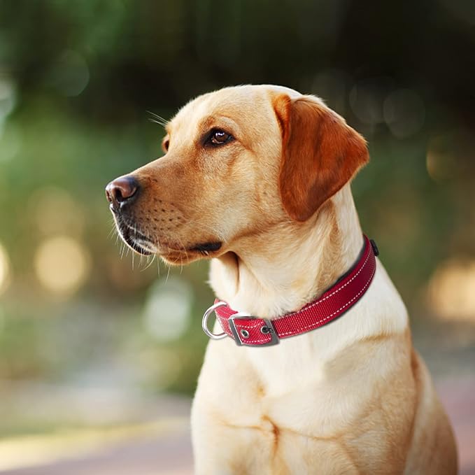 Fida Heavy Duty Dog Collar for Large Dogs with Metal Belt Buckle, Red | Soft Neoprene Padded for Extra Comfort, Thicker Nylon Webbing, Adjustable Fit, Reflective Stitching for Night Safety