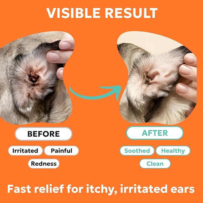 Forticept Dog and Cat Ear Infection Treatment with 1% Hydrocortisone, 2 oz