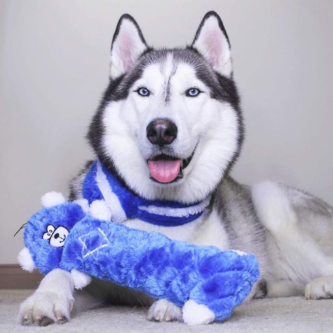 ZippyPaws Hanukkah Jigglerz Dog Toy, Star of David Bear - Interactive Plush Squeaky Toy for Small & Medium Dogs & Puppies, Stuffed Jewish Holiday Crinkle Dog Toy Gifts