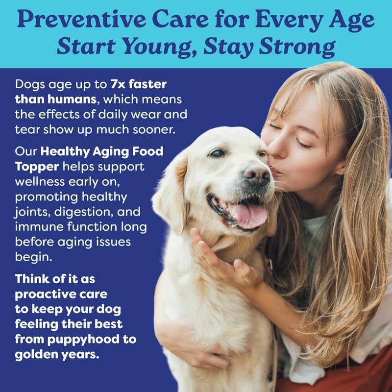Bone Broth Dog Food Topper – Grass-Fed Beef Bone Broth Powder for Senior Dogs – Hip & Joint, Skin & Coat Support – Glucosamine & Collagen – 60 Servings | Fountain of Woof