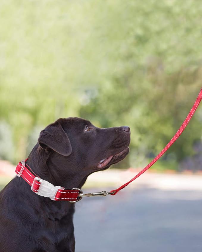 Taglory Reflective Dog Leash for Medium Large Dogs, 1in x 6ft, Red | Ideal for Night Walking, Strong for Sudden Pulls, Lightweight & Gentle on the Neck, Soft Padded Handle