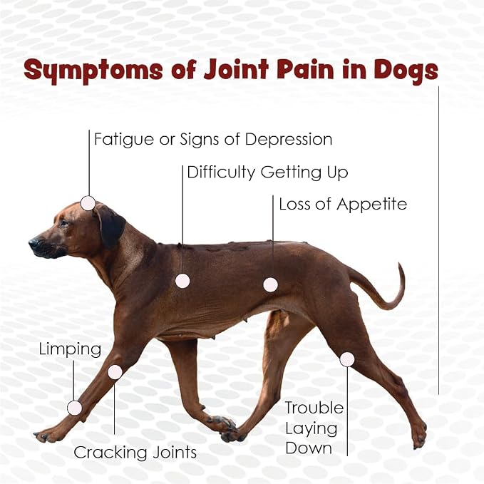 Double Strength - Vitamins, Minerals, Antioxidants - Maximum Joint Health Supplement for Dogs - 120 Chewable Tablets