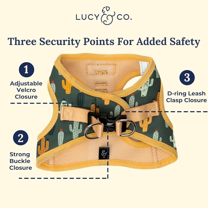 Lucy & Co. Looking Sharp Step-in Cat Harness & Leash Bundle – Reflective, Breathable & Adjustable Harness for Cats, Kittens & Small Dogs, Lightweight & Secure and Dual Leash Clips – Large