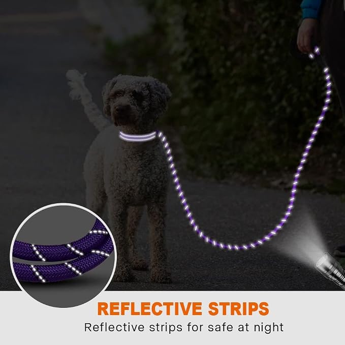Taglory Rope Dog Leash for Small Medium Dogs, 4 FT Padded Handle, Purple | Made of Climbing Rope, Reflective for Night Walks and Training, Comfortable Grip, Anti-tangle Swivel Clip, 3/8 inch