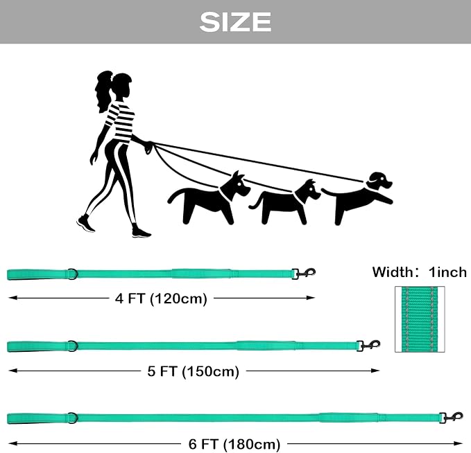 Joytale Dog Leash for Large Dogs that Pull, Double Handle, 6FT, Teal | Traffic Handle for Control, Padded Handle Reduces Hand Strain, Reflective Stitching for Night Safety, Strong Nylon Webbing