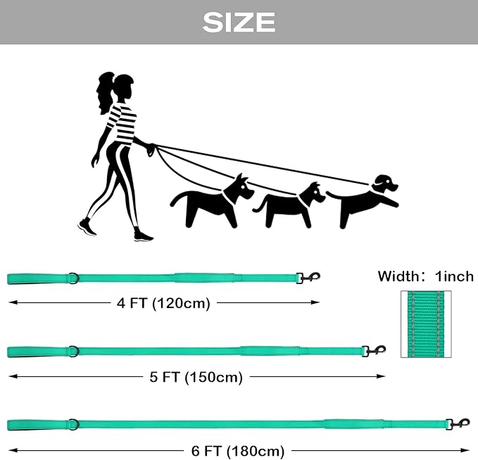 Joytale Dog Leash for Large Dogs that Pull, Double Handle, 4FT, Teal | Traffic Handle for Control, Padded Handle Reduces Hand Strain, Reflective Stitching for Night Safety, Strong Nylon Webbing