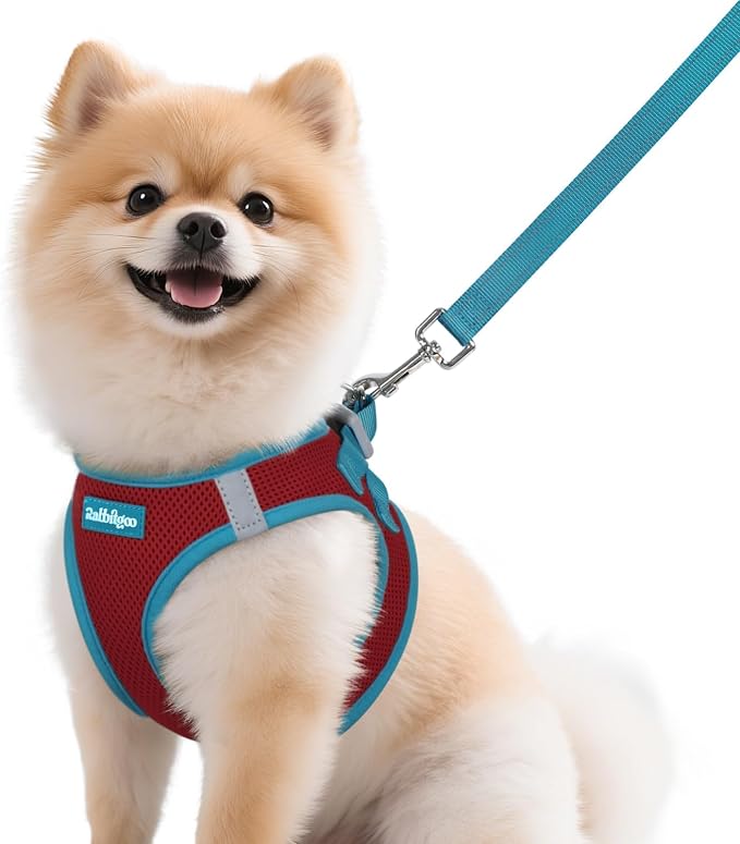 rabbitgoo Dog Harness Small Sized and Leash Set, Step in Soft Vest | Breathable Mesh, Easy Wear with Hook & Loop, Light and Reflective for Walking, Multi-colored, Red & Teal, M