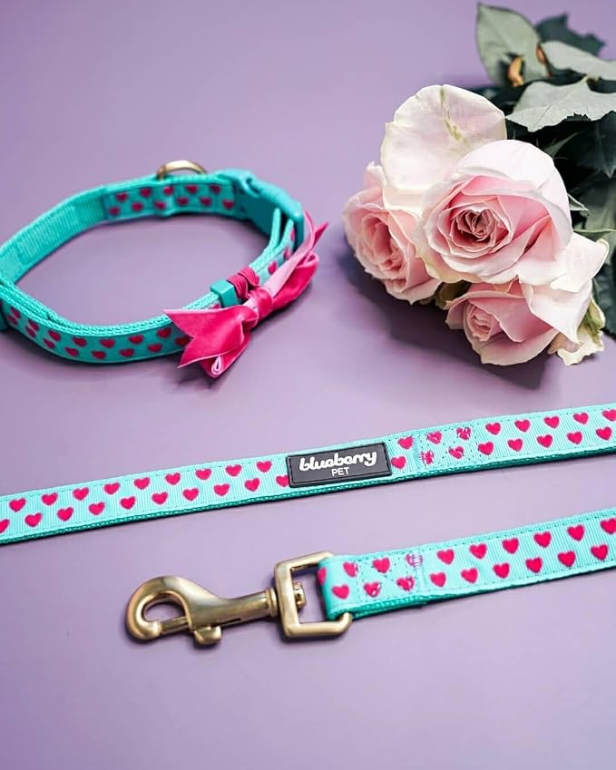 Blueberry Pet Valentine's Day Dog Leash, Velvety Soft-Touch Heart Flocking Lead for Large Dogs, Minty Green, 4 ft x 1"