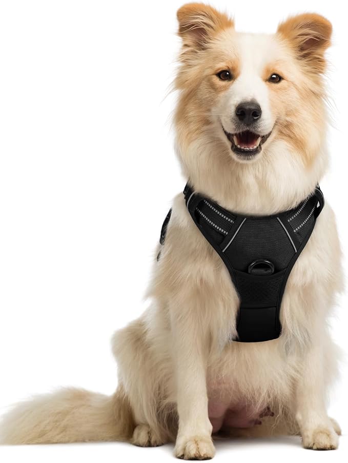 rabbitgoo Dog Harness, No Pull Medium Sized with 2 Leash Clips, Pet Vest | No Choke with Handle, Adjustable Soft Padded, Reflective, Easy Control for Walking, Black, Medium