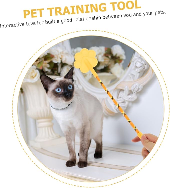 Cat Training Stick, 2 Pcs