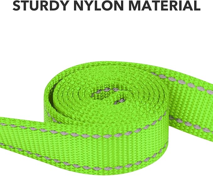Taglory Reflective Dog Leash for Medium Large Dogs, 1in x 5ft, Neon Green | Ideal for Night Walking, Strong for Sudden Pulls, Lightweight & Gentle on the Neck, Soft Padded Handle