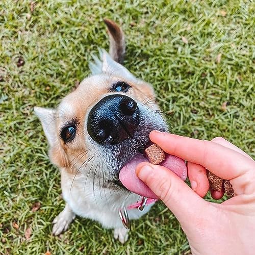 HOLI Freeze-Dried Elk & Venison Dog Treats - 6oz