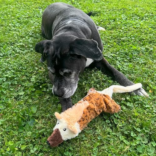 SPOT Skinneeez Big Bite Jackal, Stuffingless Dog Toy with Squeaker and Crunch Bottle, for Moderate Chewers, 18in Interactive Chew Toy