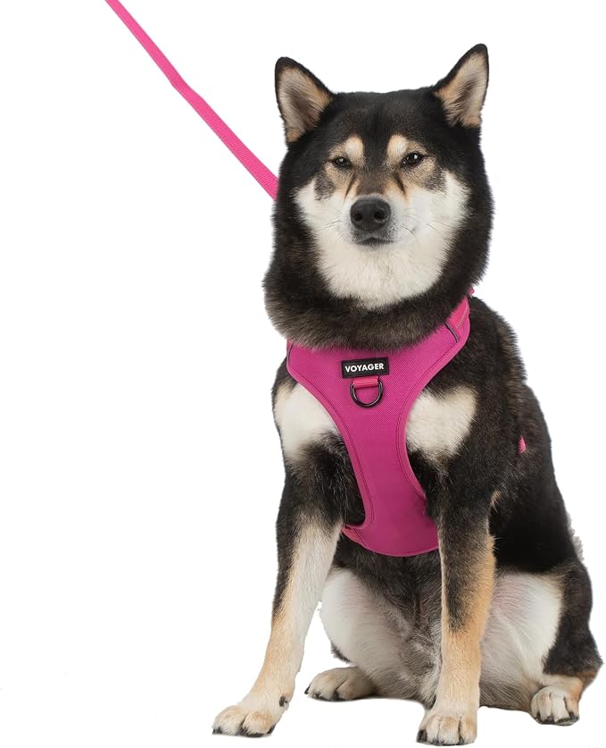 Voyager Dual Attachment No Pull Harness - Fuchsia, X-Large | 28 - 37" in Chest, No Pull Dog Harness, Fully Adjustable, 3M Reflective Technology, Front & Back D-Rings, Walking & Training