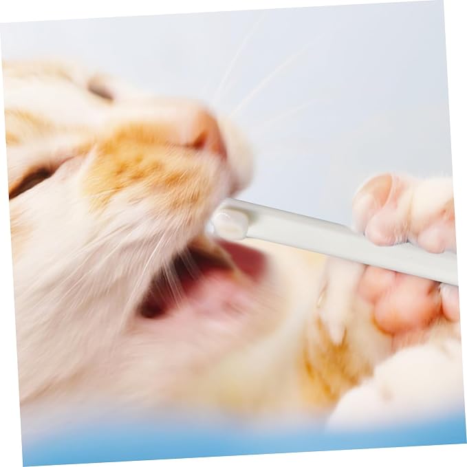 Happyyami 3pcs Pet Toothbrush Small Head Soft Bristles Gentle Dog Cat Oral Care Kit Handle for Precise Cleaning and Irritation Use