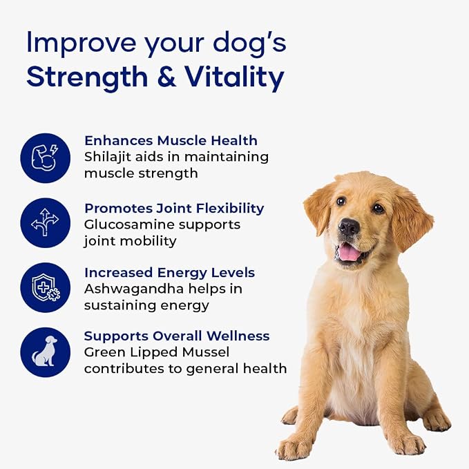 MyoQuin: Advanced Dog Hip and Joint Supplement with Glucosamine, Omega 3,Chondroitin and Green Lipped Mussel, Chews for Small Dogs, Medium Dog and Large Dogs Breeds