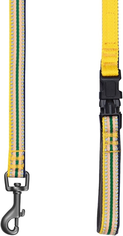 Blueberry Pet 3M Reflective Nylon Dog Leash with Soft Handle, Multi‑Colored Stripe, Yellow & Green, Large