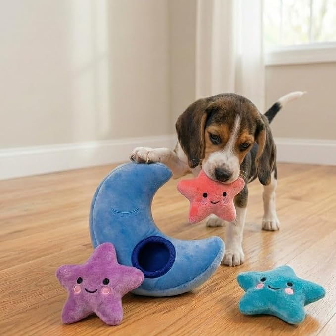 MODERN WAVE - Interactive Squeaky Plush Hide and Seek Squirrel Type Puzzle Toy for Dogs, Small Size (Moon and Stars)