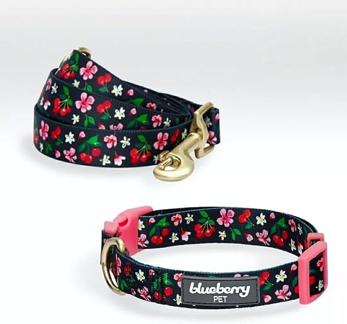 Blueberry Pet 9 Patterns Cherry Garden Black Dog Leash 4 ft x 1", Large, Leashes for Dogs