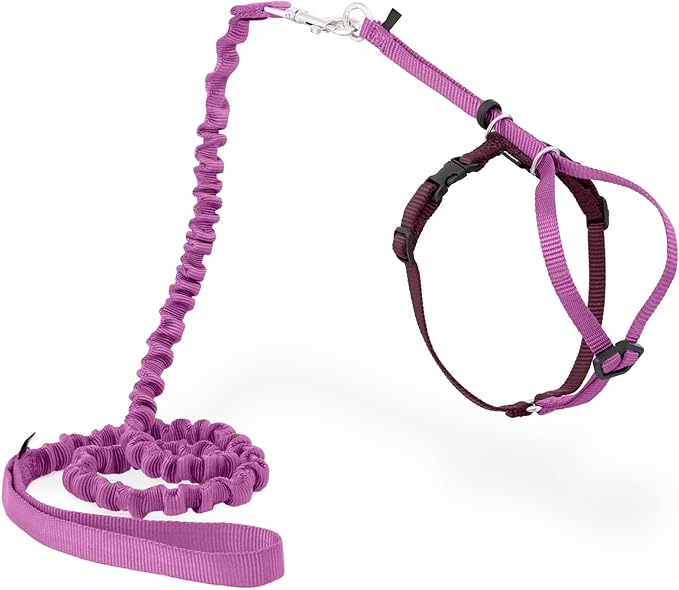 PetSafe Come with Me Kitty Harness and Bungee Leash, Medium, Dusty Rose | Adjustable 2-Point Fit Applies Gentle Pressure to Shoulders, Not Neck, for Small & Average Cats with 10.5 in - 14 in Girth