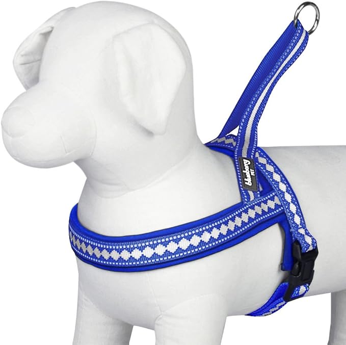 Blueberry Pet 4 Colors Soft & Comfy 3M Reflective Jacquard Padded Dog Harness, Chest Girth 19" - 23.5", Palace Blue, XS/S, Adjustable Harnesses for Dogs