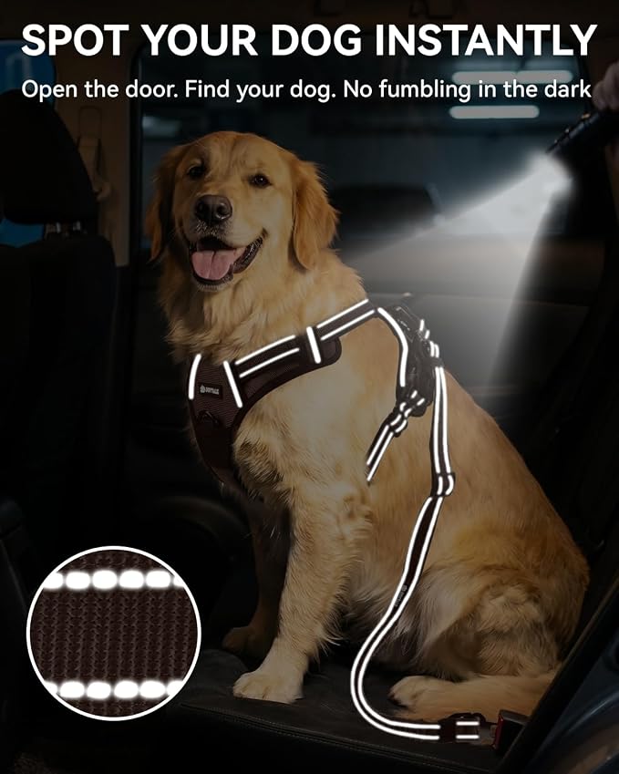 Joytale 3-in-1 Bungee Dog Seat Belt - Brown